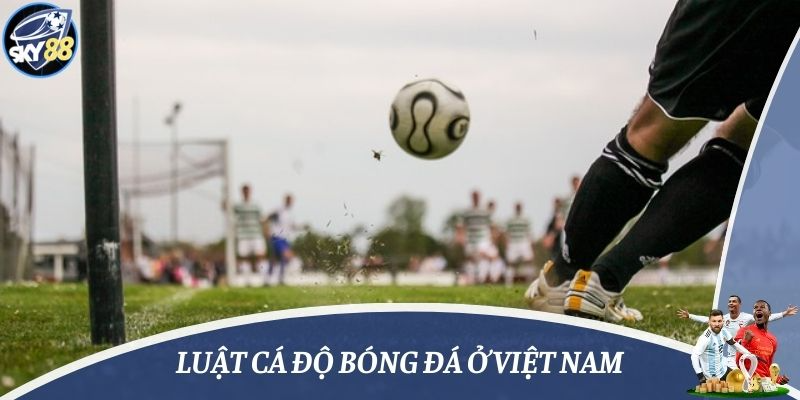luật cá độ bóng đá ở Việt Nam