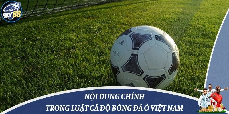 Nội dung chính trong luật cá độ bóng đá ở Việt Nam
